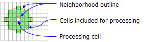 Processing cell with default annulus neighborhood Processing cell with default annulus neighborhood