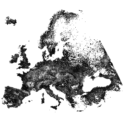 Export Image